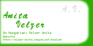 anita velzer business card